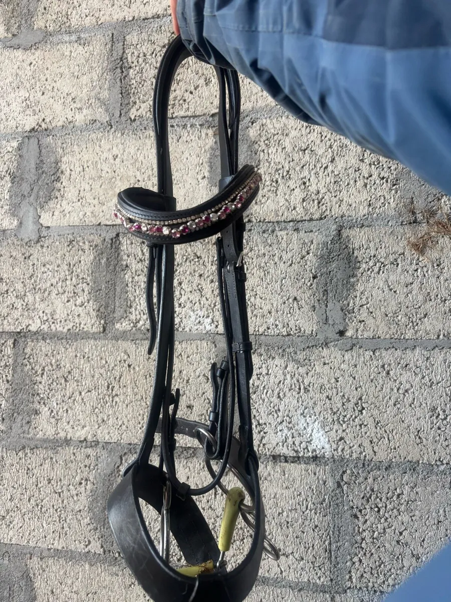 Bridle - Image 2