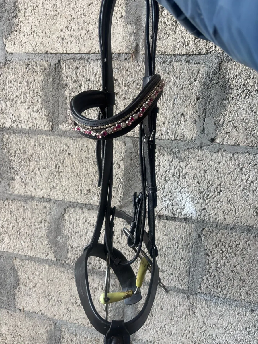 Bridle - Image 3
