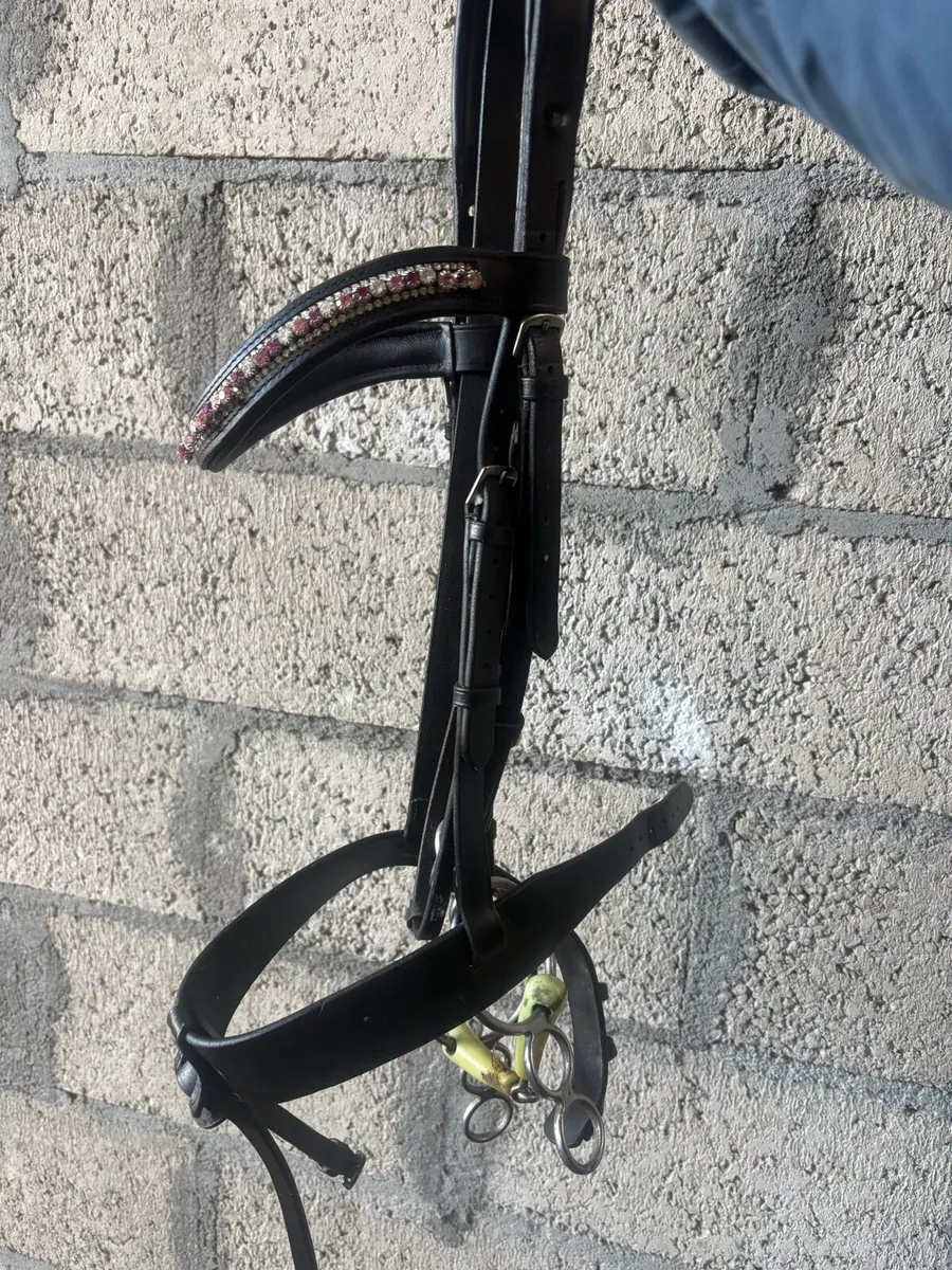 Bridle - Image 4