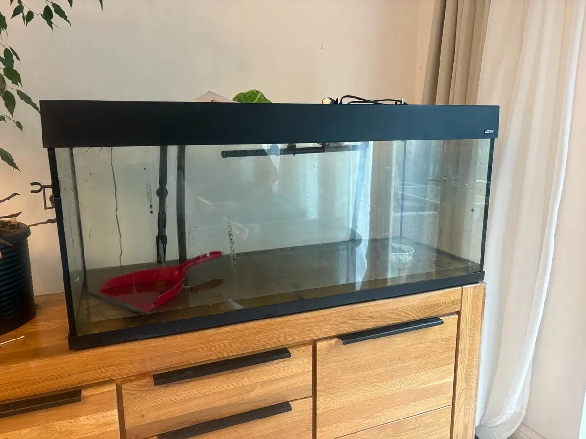 250L Fish Tank for Sale and excellent JBL Filter - Image 3
