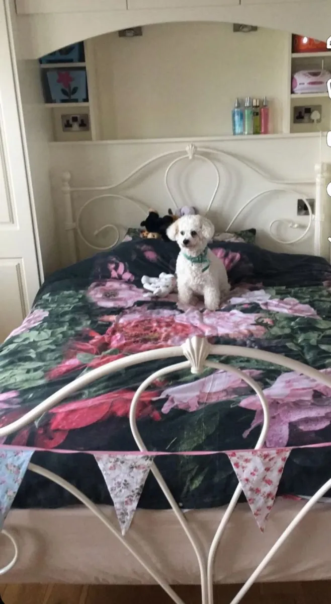 Girls bed