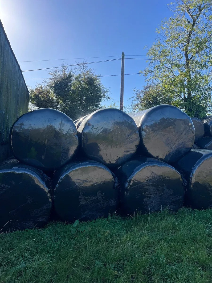 Haylage