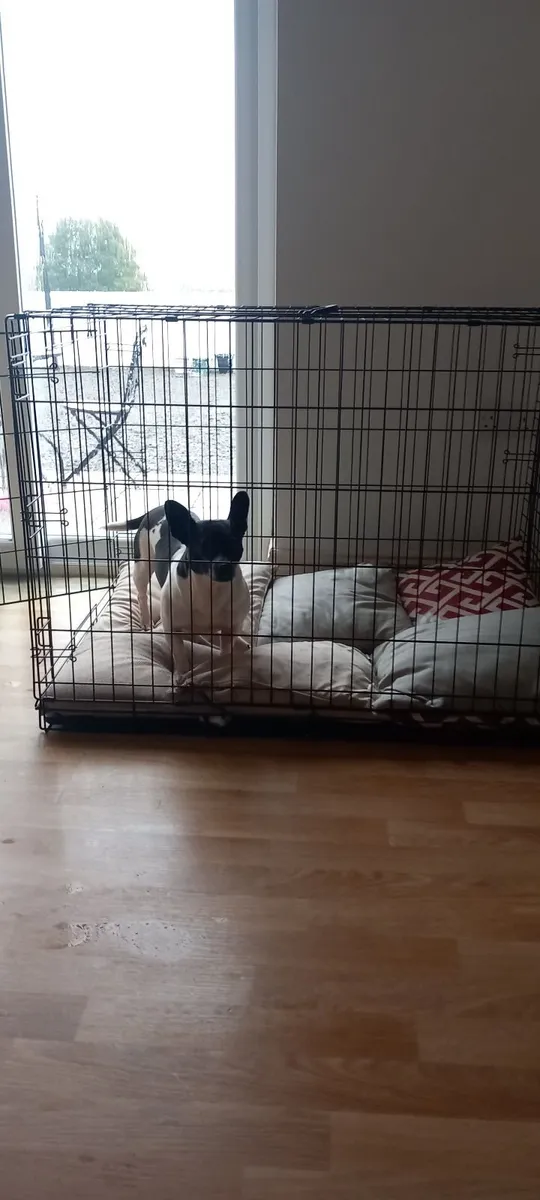Large Dog Cage - Image 2