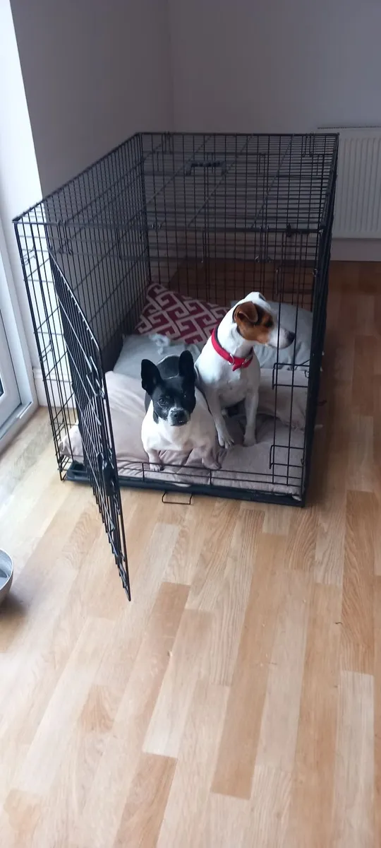 Large Dog Cage - Image 3