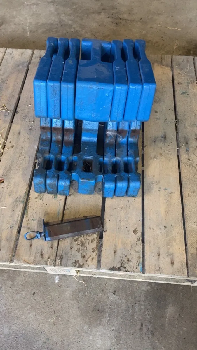 Ford weights - Image 1
