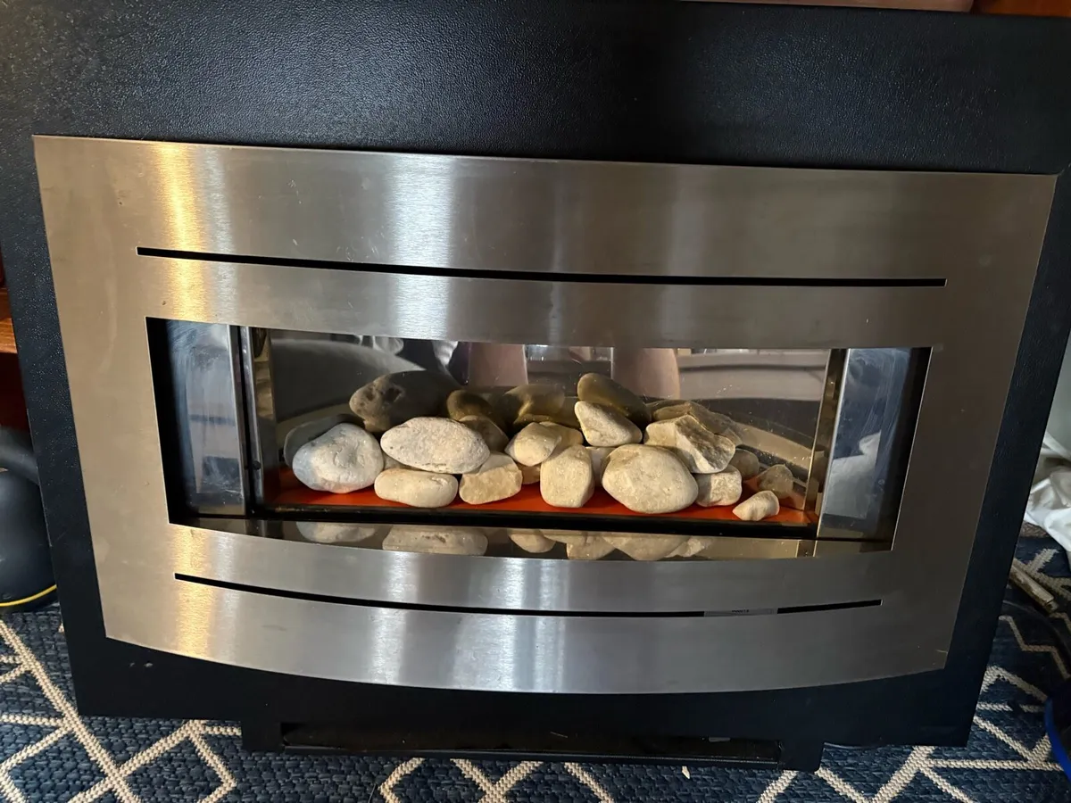 Electric Fire - Image 1