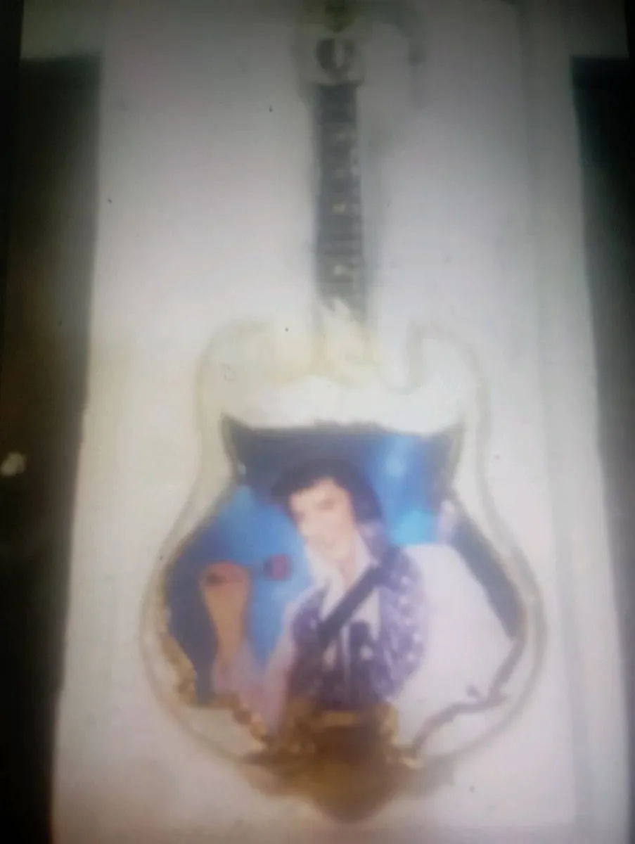 ELVIS PRESLEY PLATE COLLECTION 16 IN TOTAL - Image 1