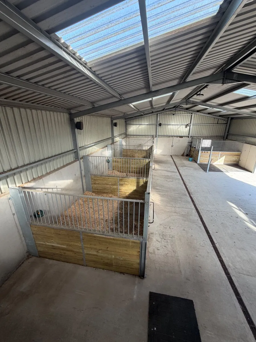 Internal horse stables - Image 2