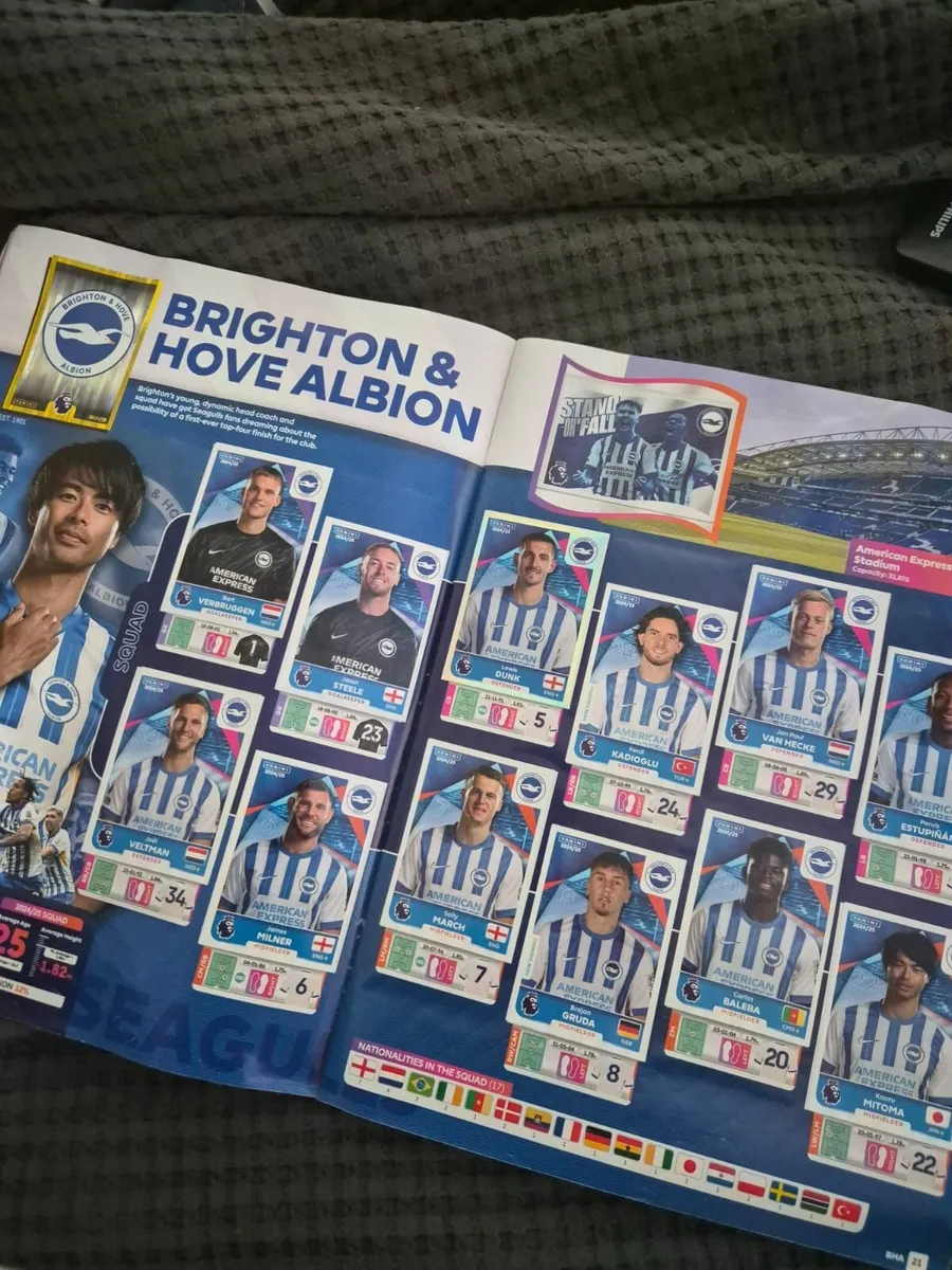 Panini 2025 - Premier league sticker album 100% - Image 4