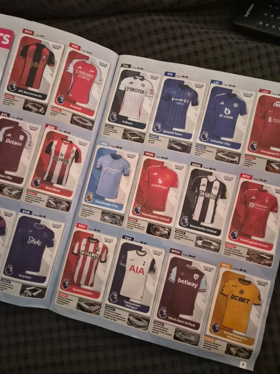 Panini 2025 - Premier league sticker album 100% - Image 2