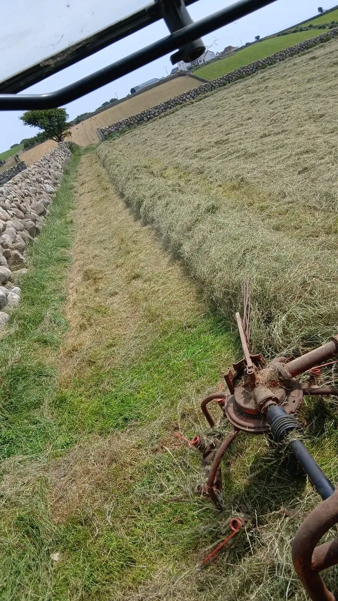 Small square bales haylage - Image 2