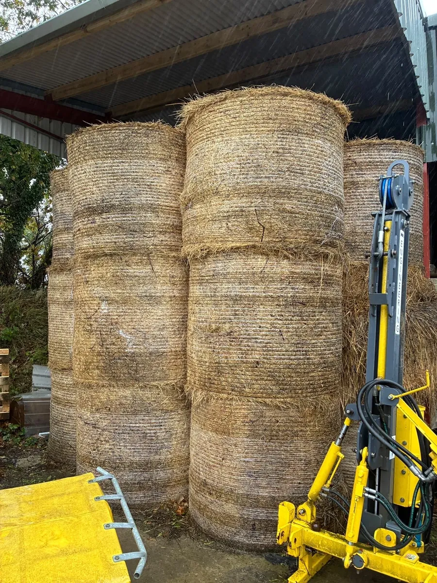 Hay bales for sale - Image 2