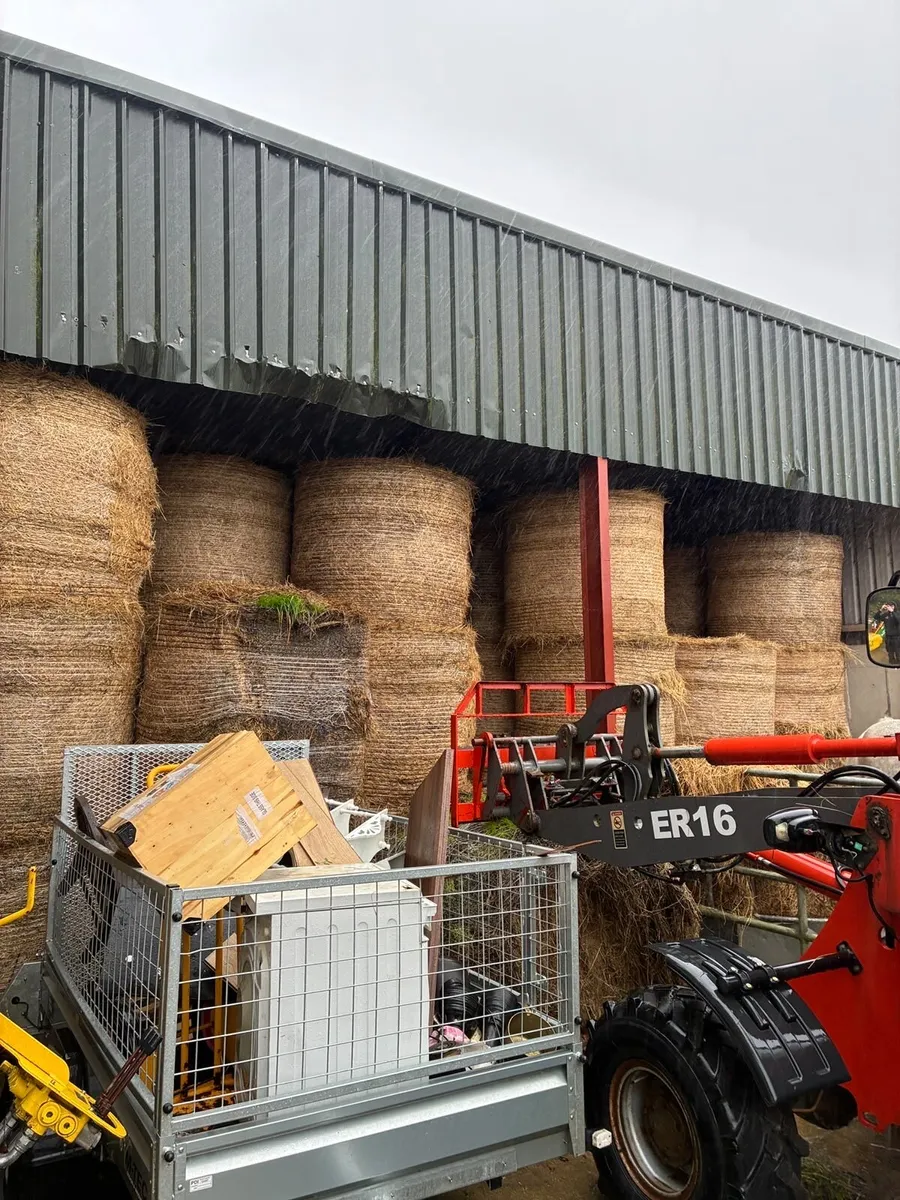 Hay bales for sale - Image 1