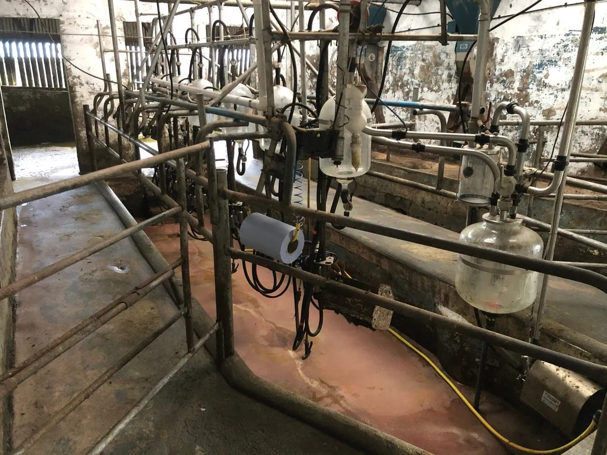 Milking parlour - Image 1