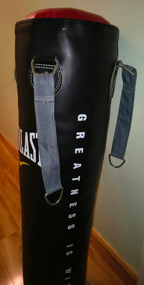 Punch Bag with chains - Image 1