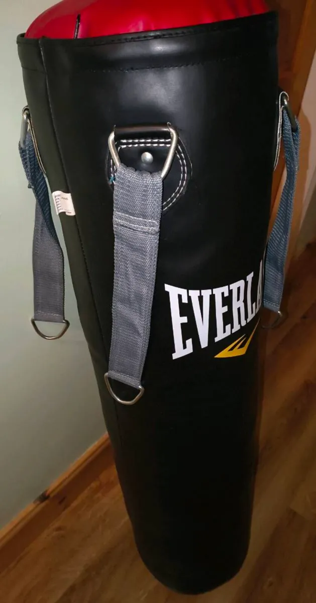 Punch Bag with chains - Image 3