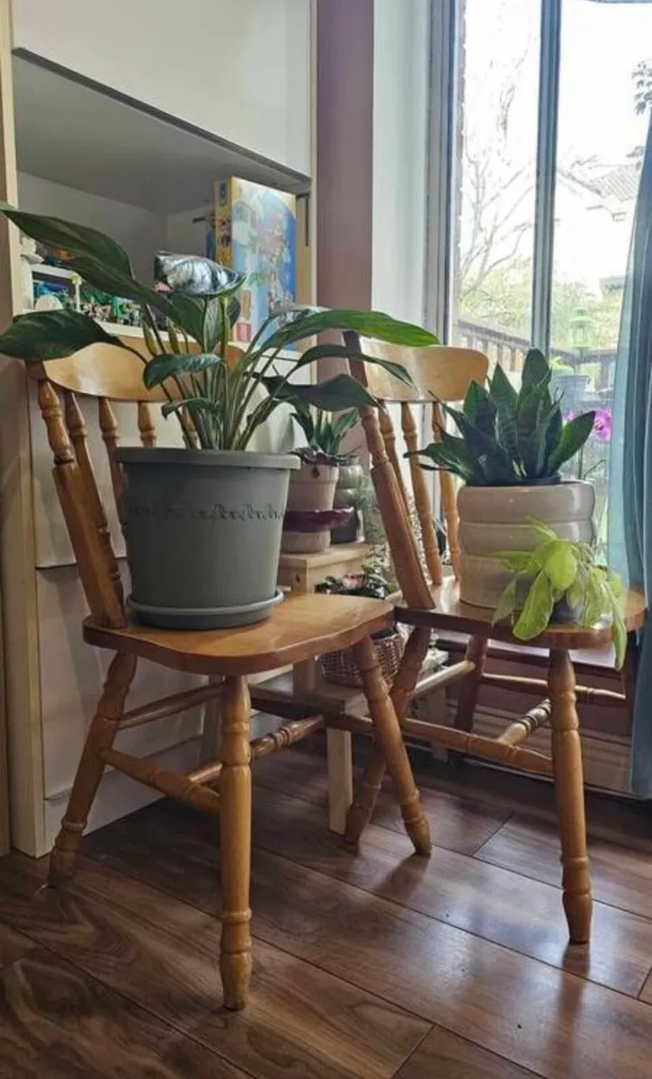 4 Wooden chairs - Image 1