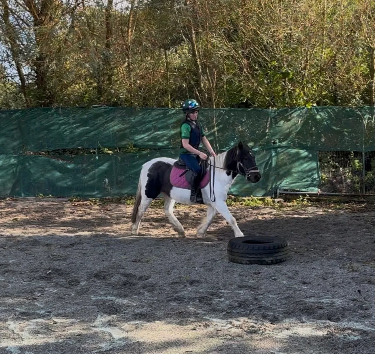 QUIET STARTER/ PROJECT PONY - Image 2