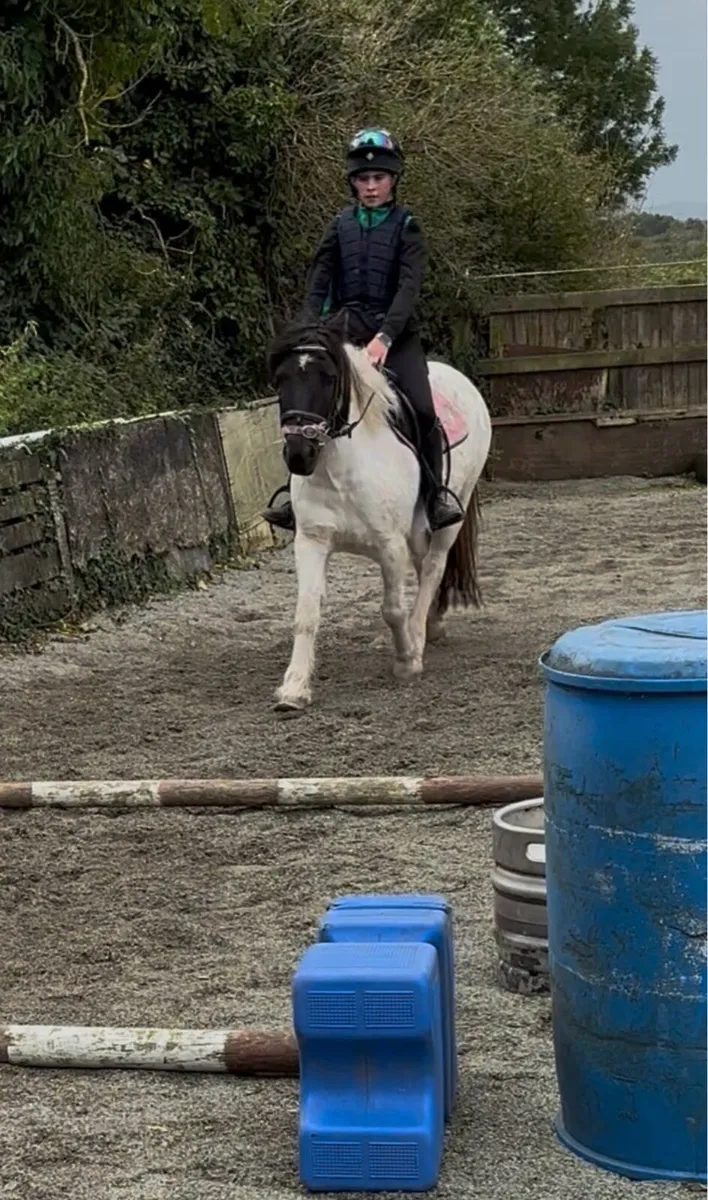 QUIET STARTER/ PROJECT PONY - Image 3