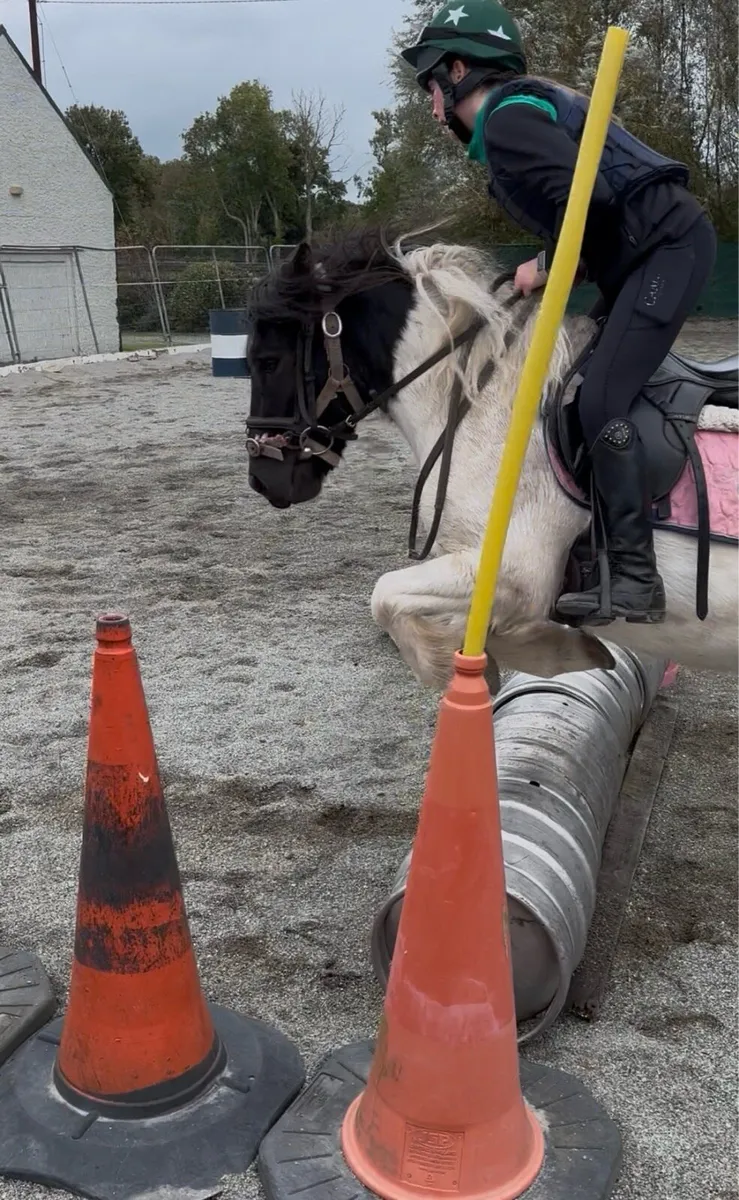 QUIET STARTER/ PROJECT PONY - Image 4