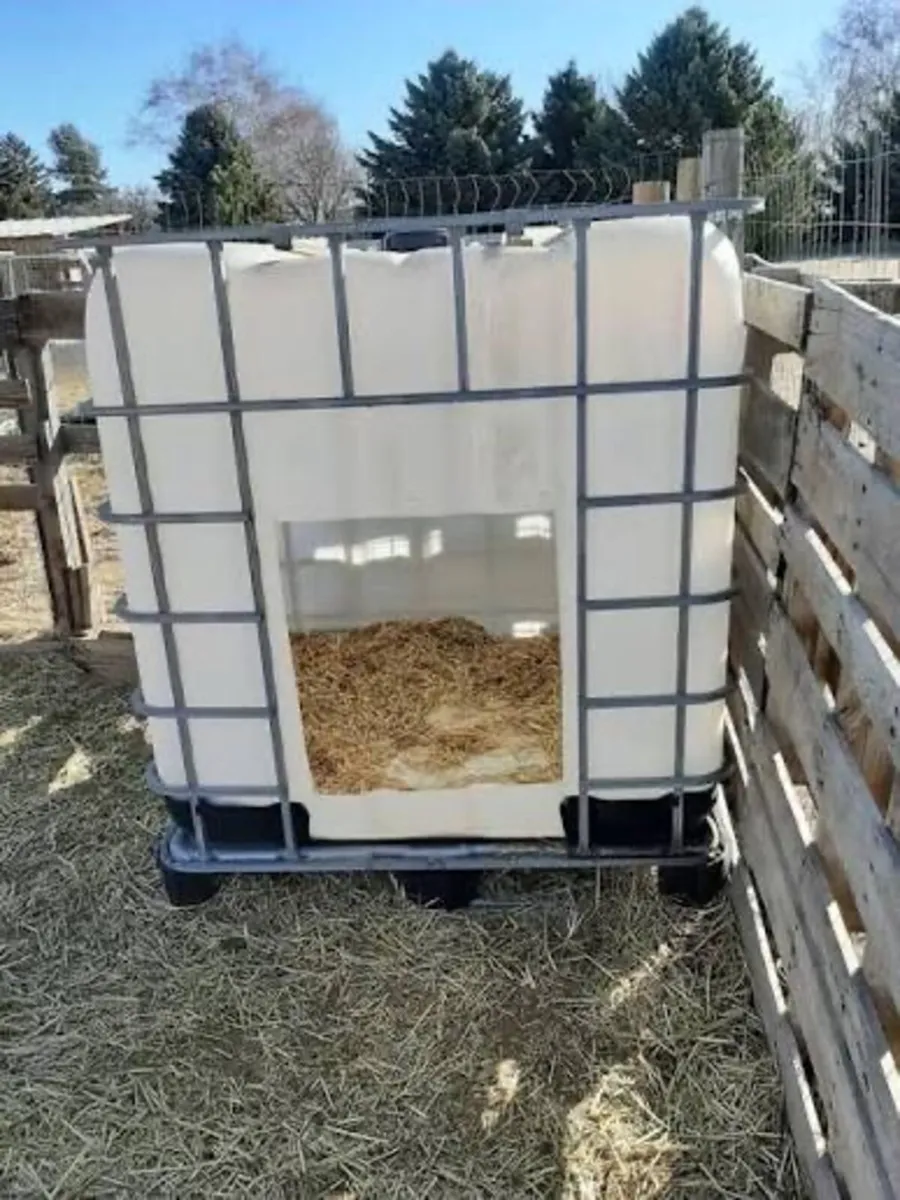 Animal shed