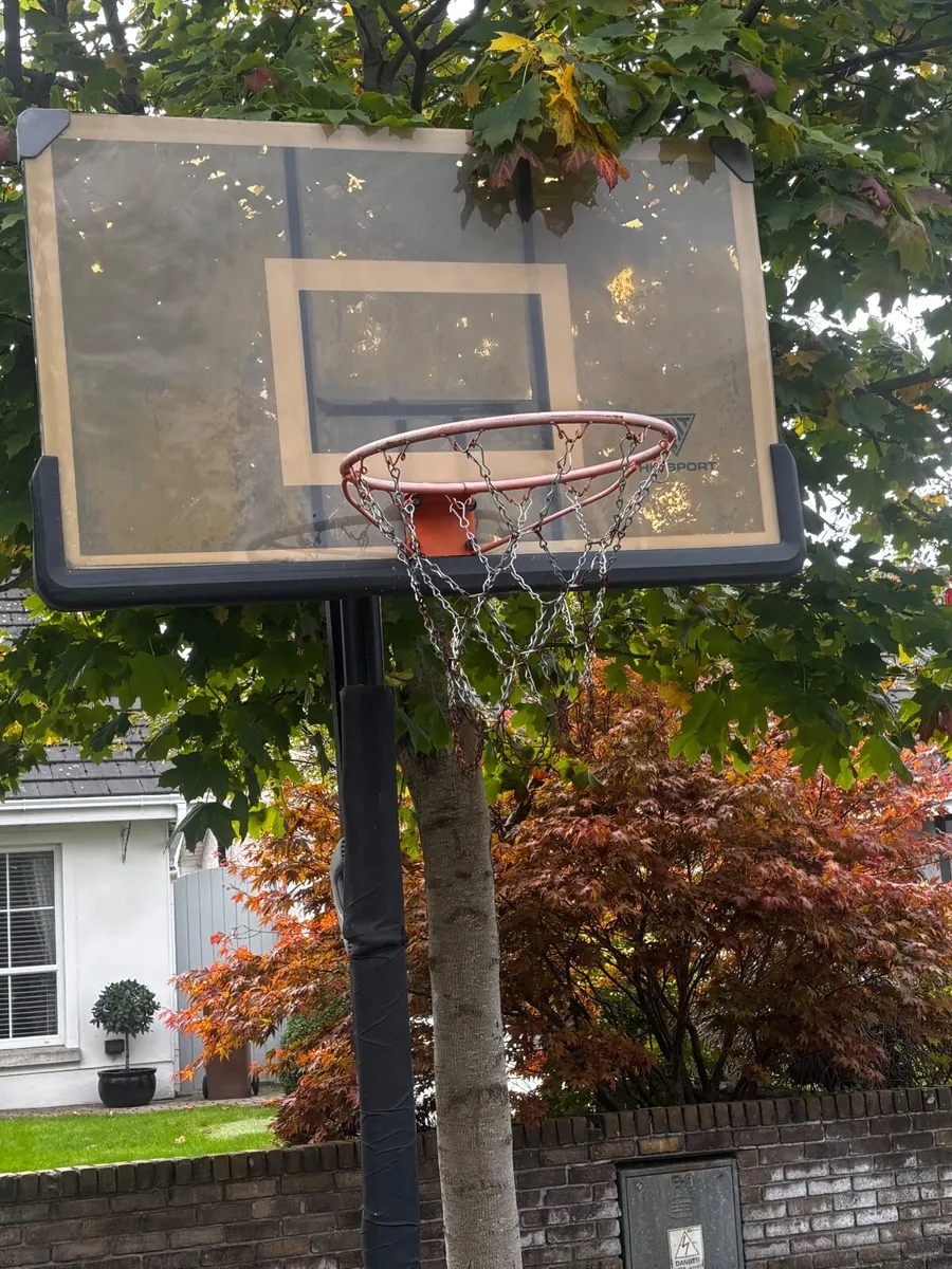 Basketball Stand - Image 1