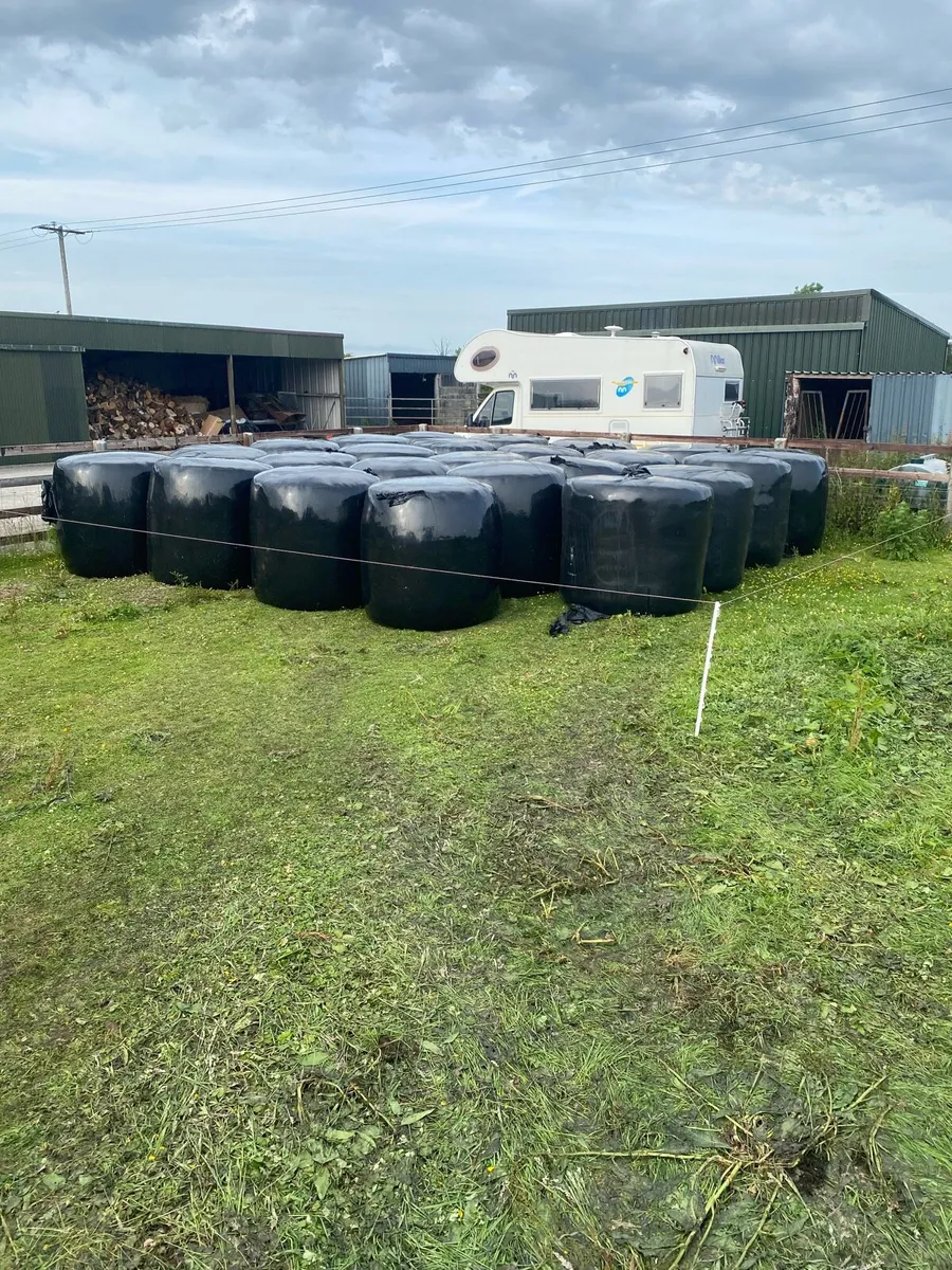 Silage bales - Image 2