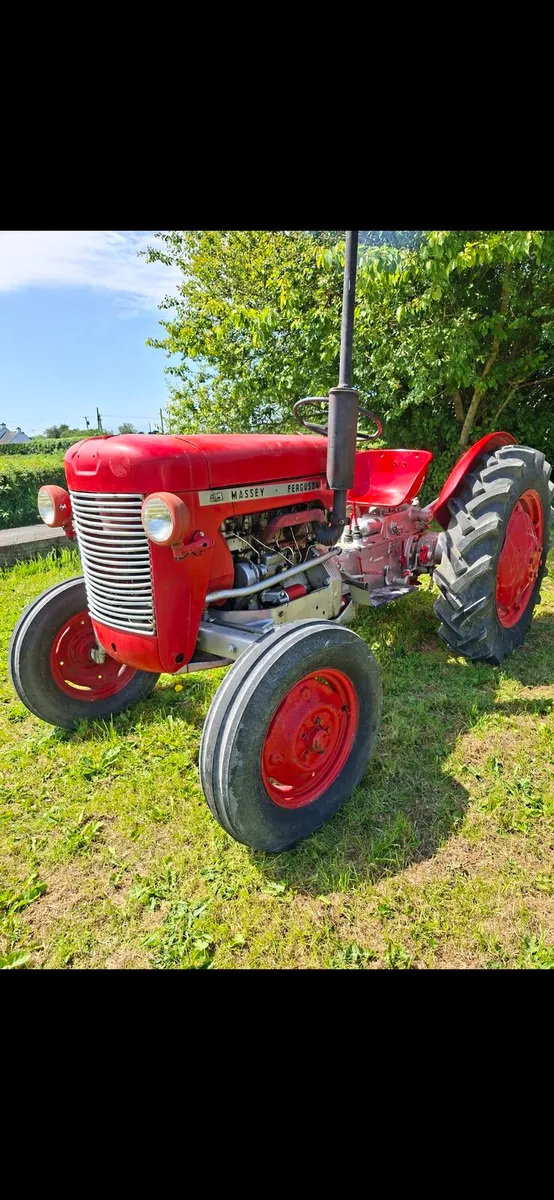 MASSEY FERGUSON 25 - Image 2