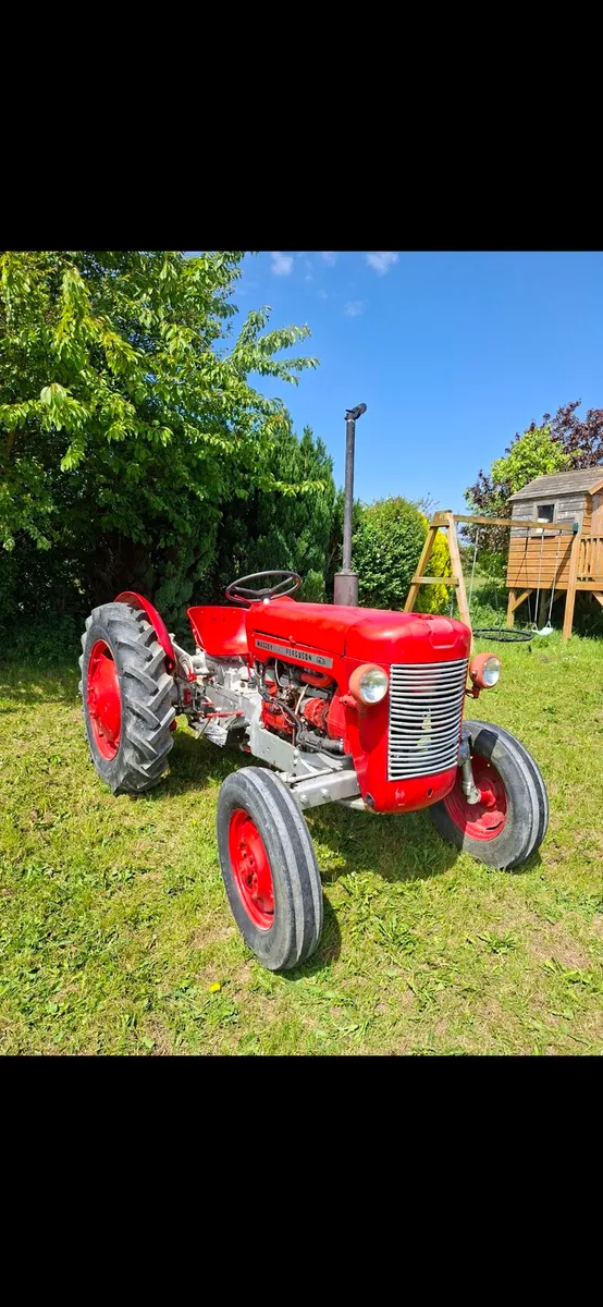 MASSEY FERGUSON 25 - Image 1