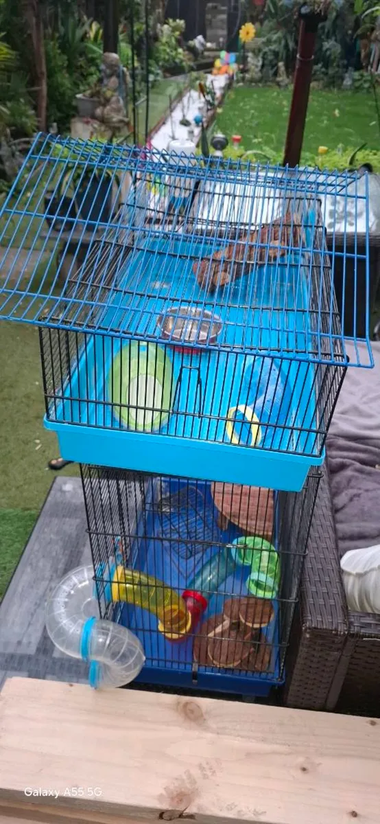 Hamster cage - Image 1