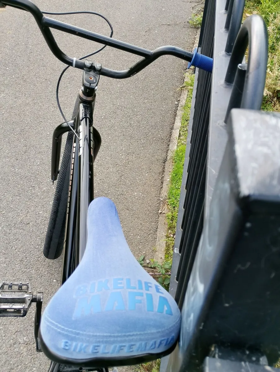 BMX - Image 2