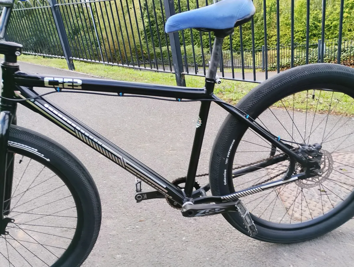 BMX - Image 4