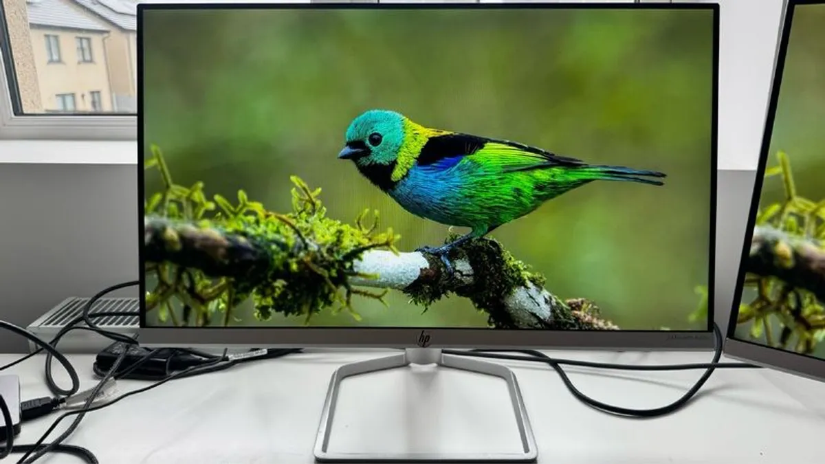Two HP 24-inch Monitors - Image 1