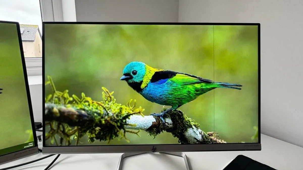 Two HP 24-inch Monitors - Image 2