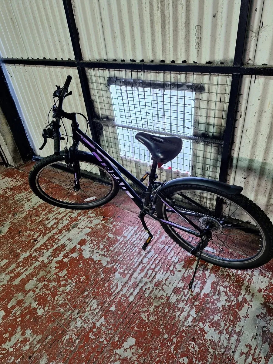 Bicycle - Image 3