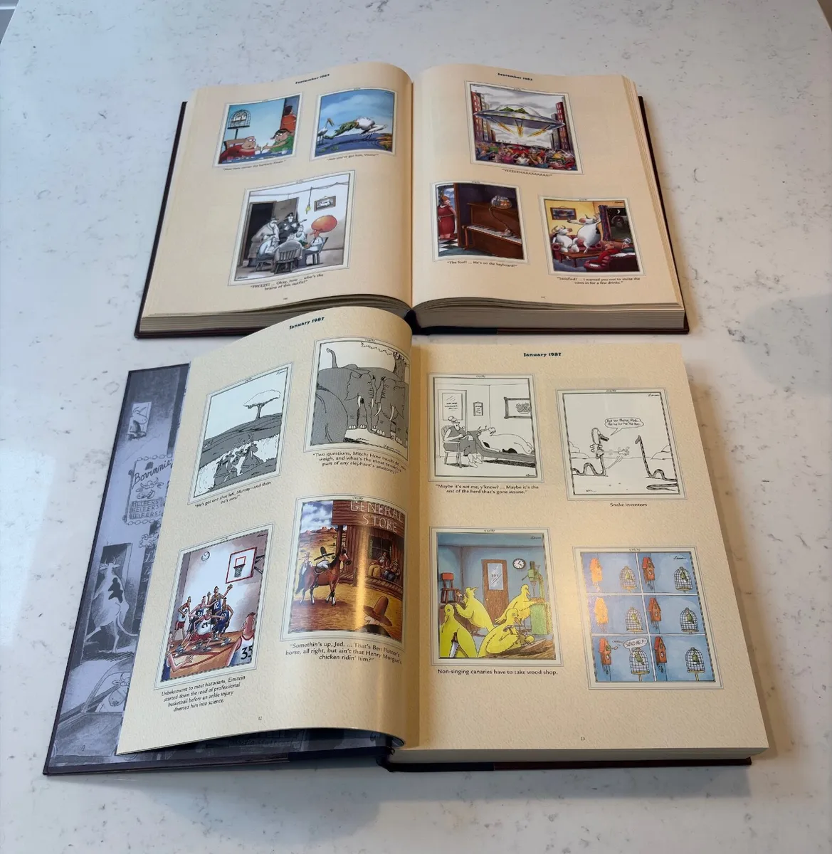 The Complete Far Side Gary Larson Box Set - Image 2