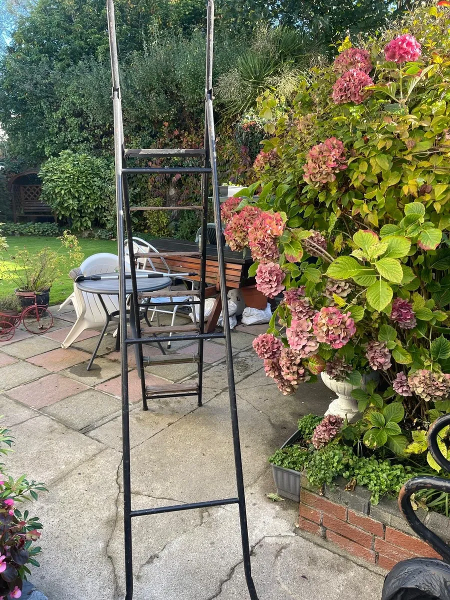 Ladder - Image 4
