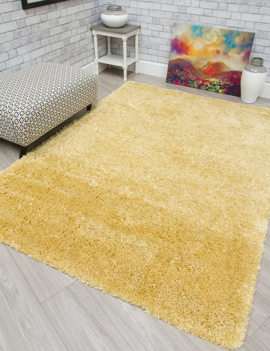 Daisy Rug 160 x 220cm - Free Delivery - Image 3