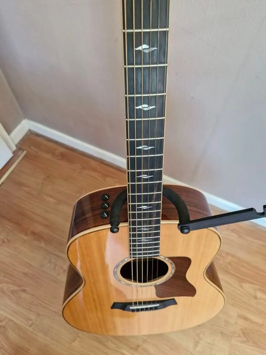 Taylor 818ce Electro Acoustic - Image 3