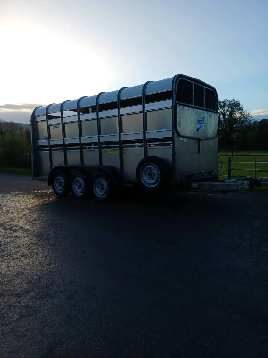 Ifor williams 14ft cattle trailer - Image 2