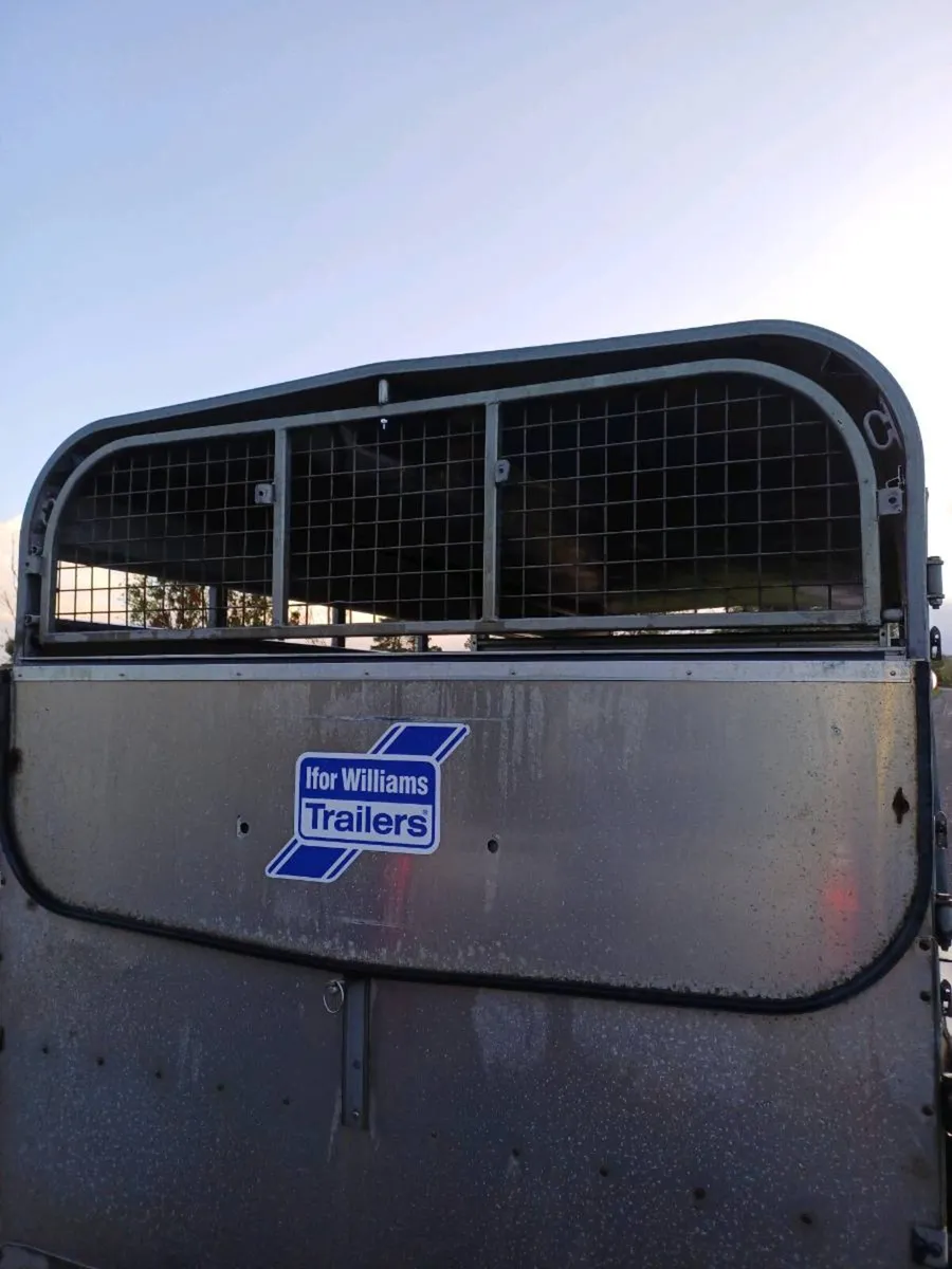 Ifor williams 14ft cattle trailer - Image 4
