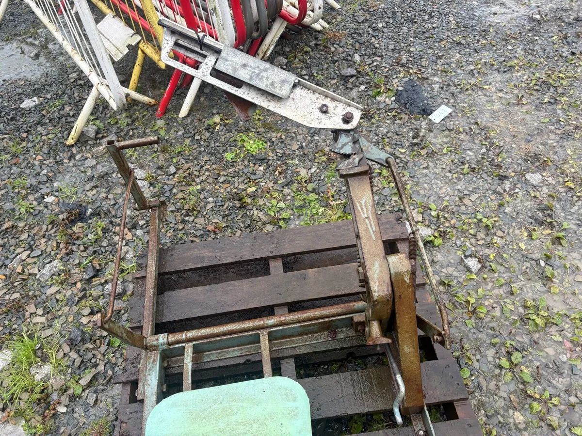 Clay trap - Image 3