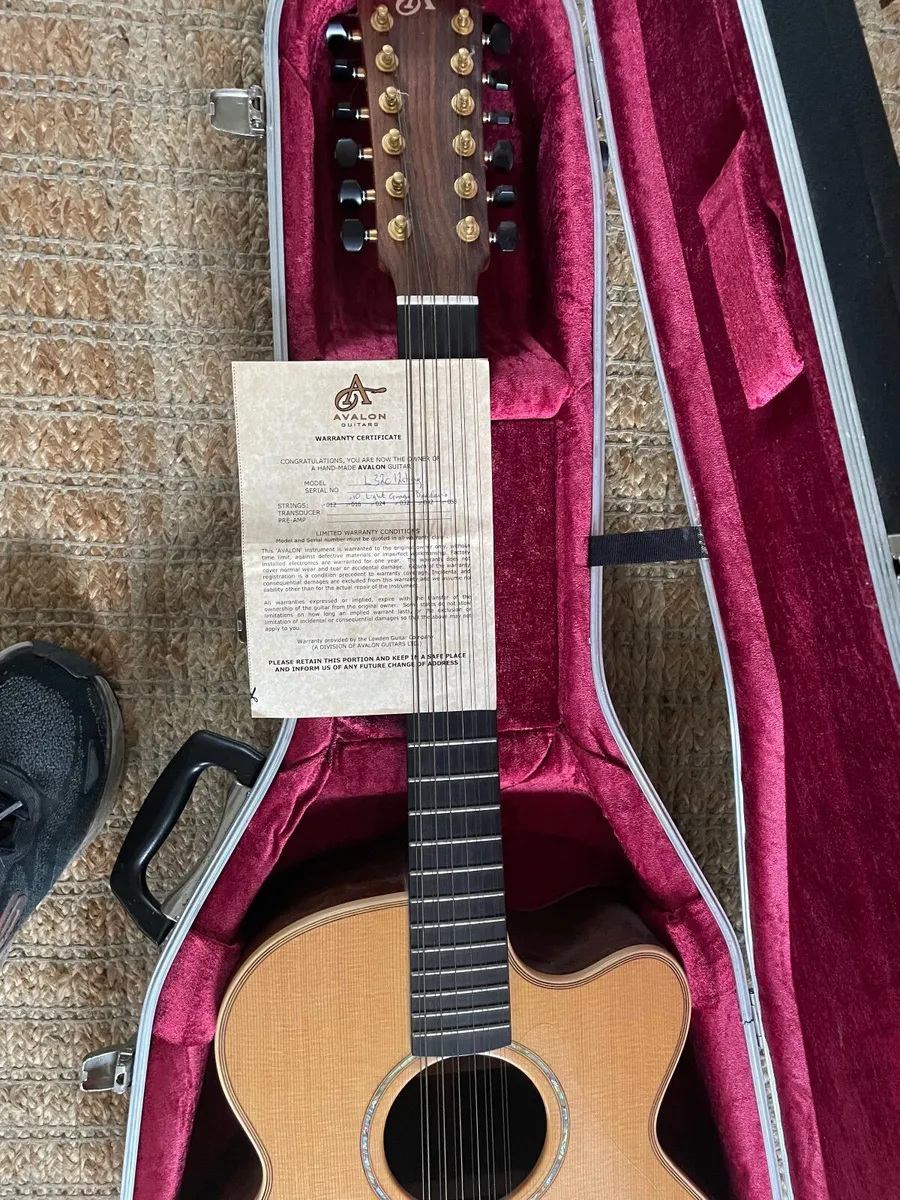 Guitar Avalon 12 string - Image 3