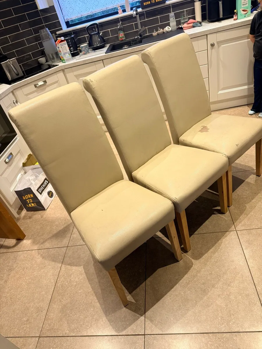Dining room chairs - Image 1