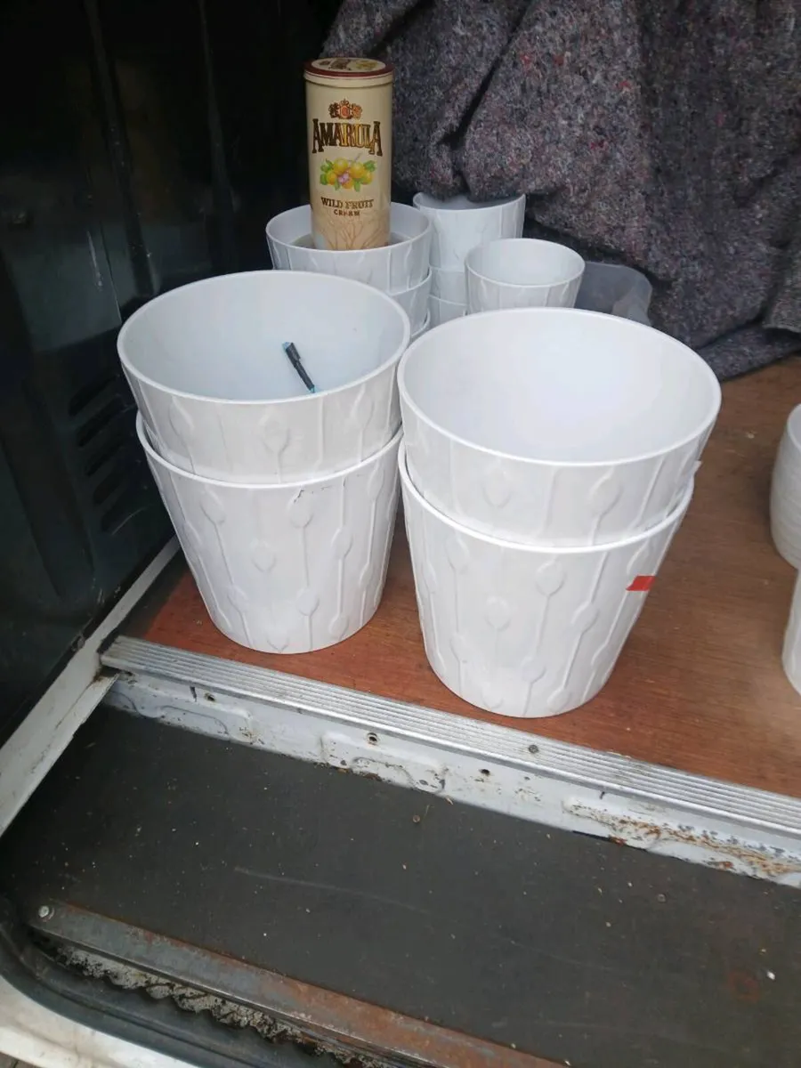 Plant pots - Image 1