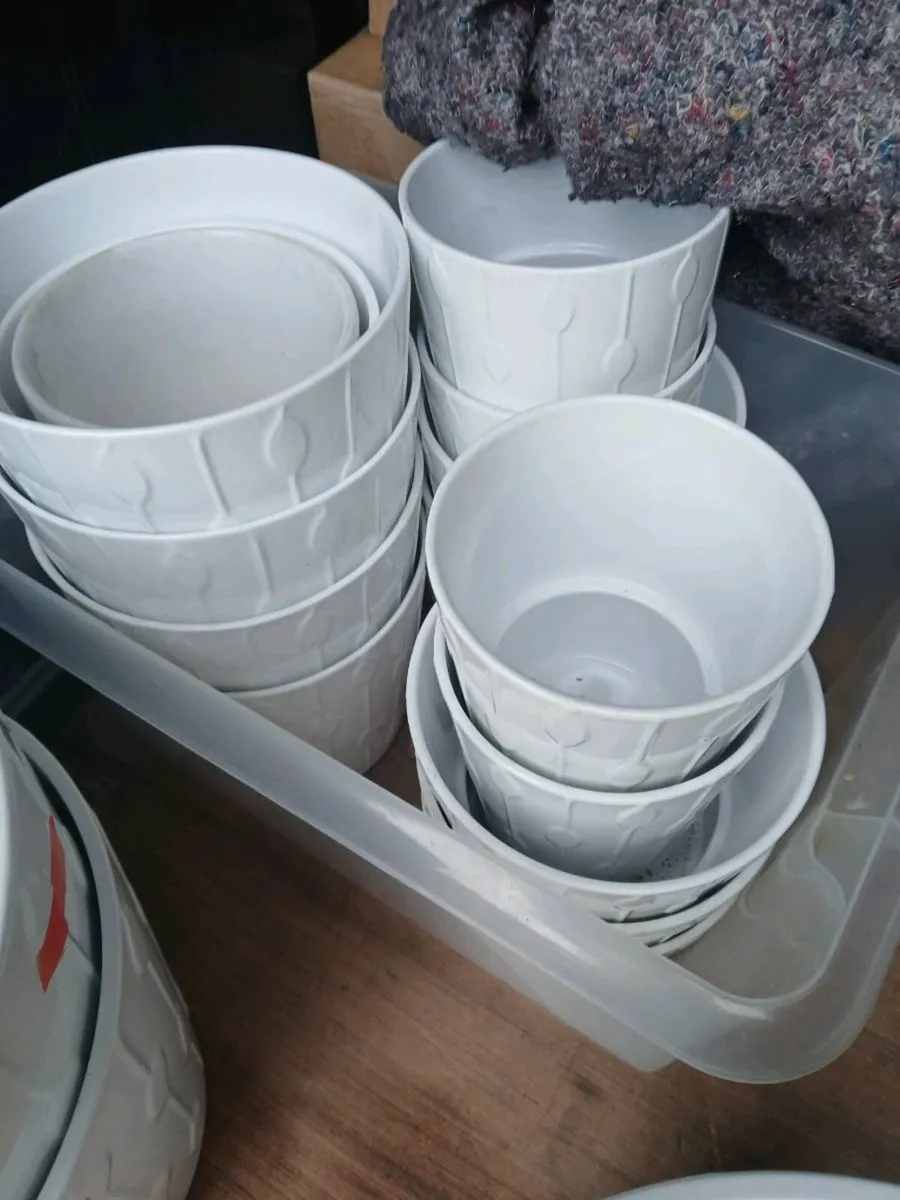 Plant pots - Image 2