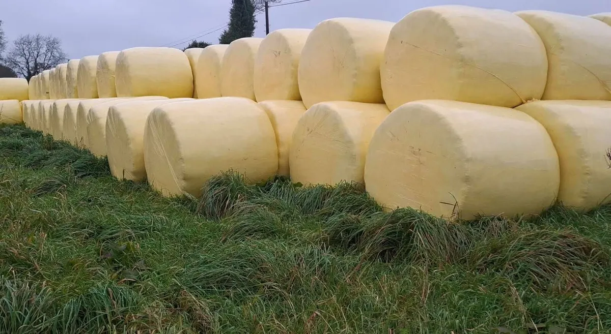 Quality Silage/Haylage/Hay  for sale