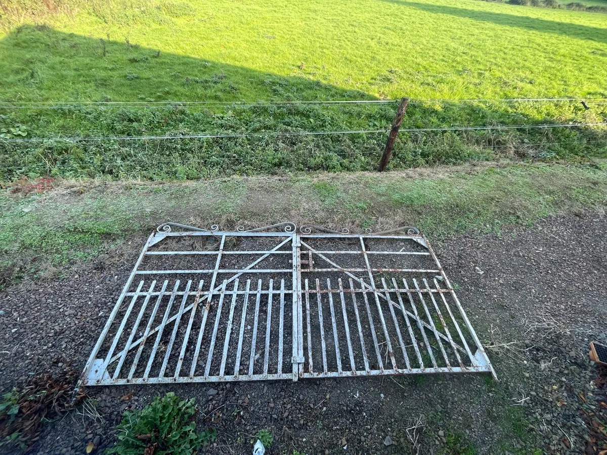 Antique gates - Image 1