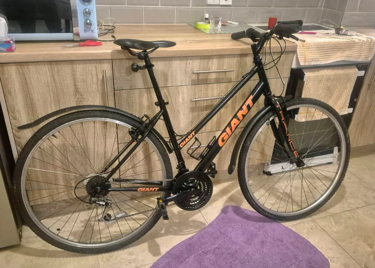 LADIES GIANT EXPRESSION BIKE 
18” FRAME  BRAKES AN - Image 2