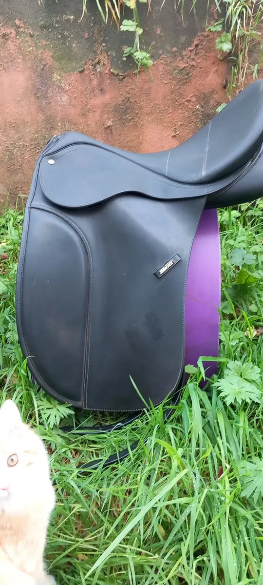 Wintec dressage saddle - Image 3